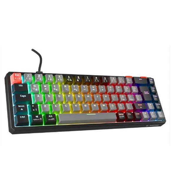 Rampage YORU MINI Gri-Siyah Type-C Bağlantılı OUTEMU Red Swich Q Mekanik Gaming Oyuncu Klavye RGB