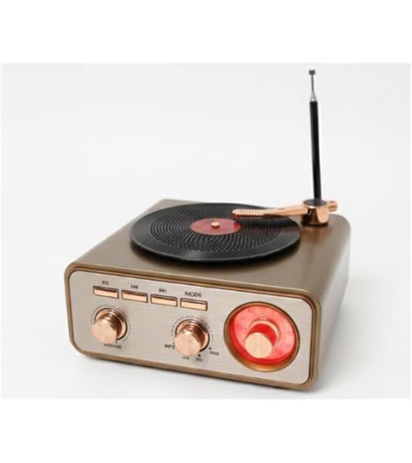 Everton RT-1217bt  Bluetooth Usb-Micro Plak Radyo