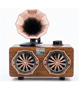 Everton Rt-744  Bluetooth Fm-Usb-Tf-Aux  Şarjlı Nostaljik Radyo