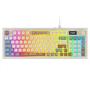 Everest KB-79 SILENT PRO Gri-Gri Mavi-Kahve SESSİZ RGB Q Membrane Oyuncu Klavyesi