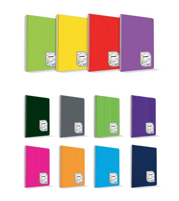 Çınar Colormaxi Spiralli Defter Plastik Kapak A5 72 YP Çizgili 72/1