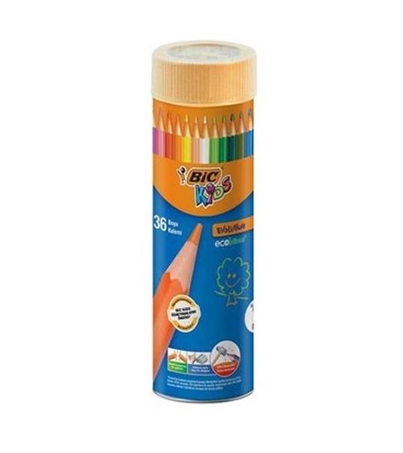 Bic Kuru Boya Evolution Metal Tüp 36 LI 968491