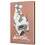 Mabbels Sert Kapak Butik Defter Avatar Appa ve Aang Puce Rengi 80 YP 15x21 DFT-388210
