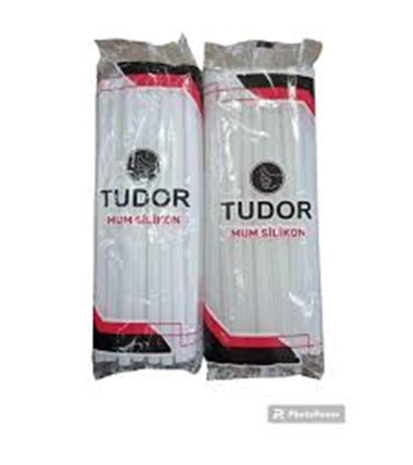 Tudor Macrofix Mum Silikon İnce 1KG