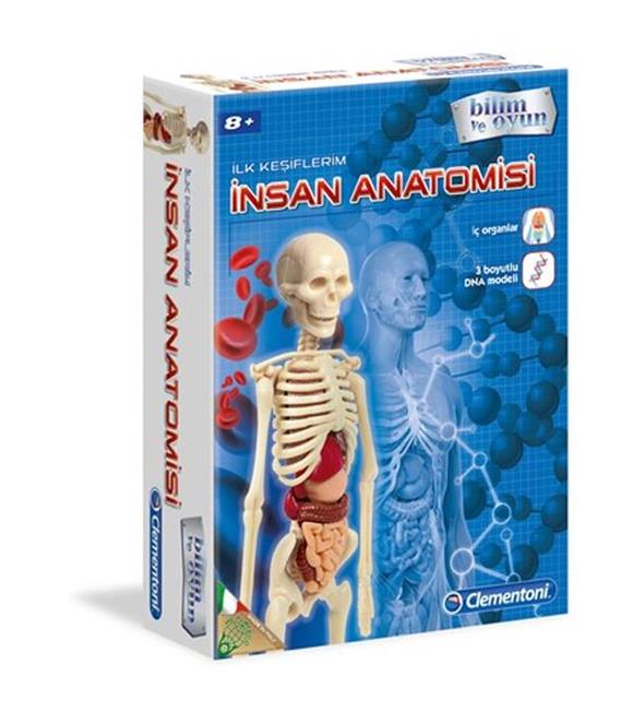 Clementoni İlk Keşiflerim (İnsan Anatomisi)