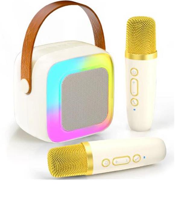 WowKids SY13 İki Mikrofonlu Gold Karaoke Speaker