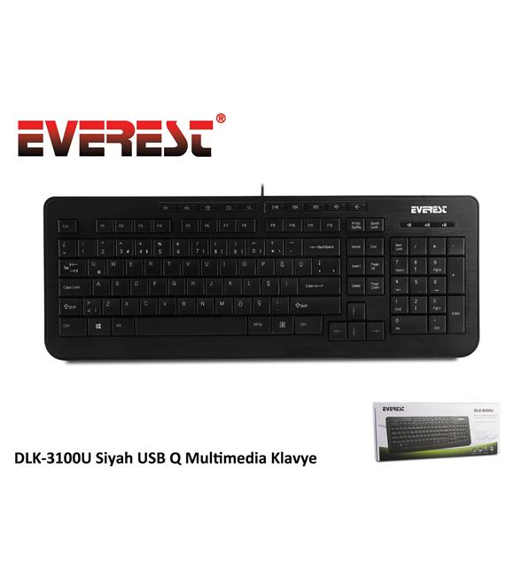 Everest DLK-3100U Siyah Q Usb Multimedya Kablolu Klavye 105 Tuşlu