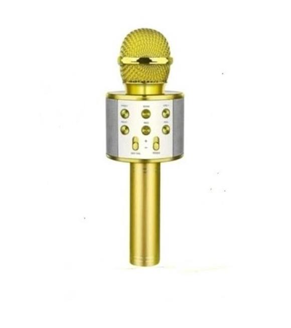 ACL WS-858 Wireless Karaoke Hoparlör (BLS-25)