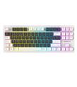 Everest KB-98 SILENT TKL Gri Mavi-Beyaz Rainbow Q Membrane Klavye