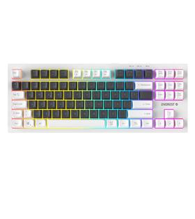 Everest KB-98 SILENT TKL Gri Mavi-Beyaz Rainbow Q Membrane Klavye