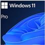 Microsoft Oem Windows Pro 11 64 Bit Türkçe FQC-10556  Kutusuz İşletim Sistemi
